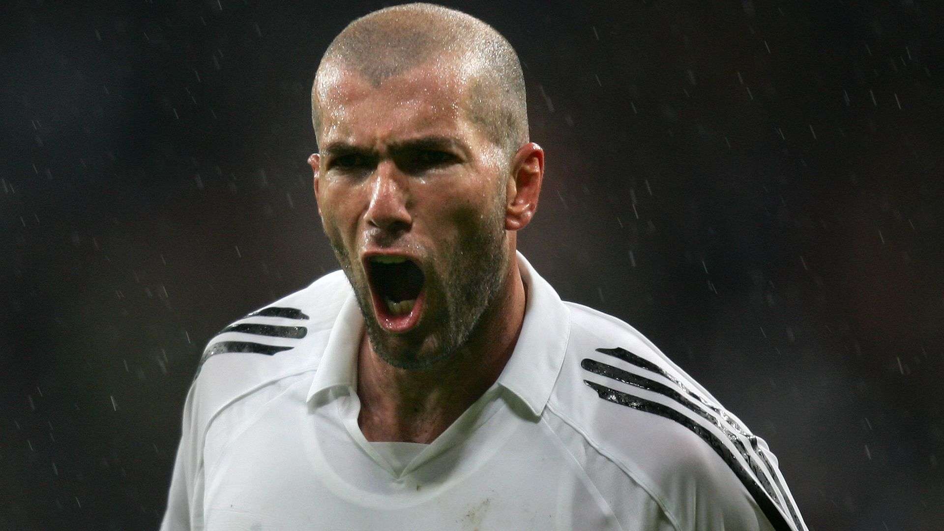 更加从容 更加从容