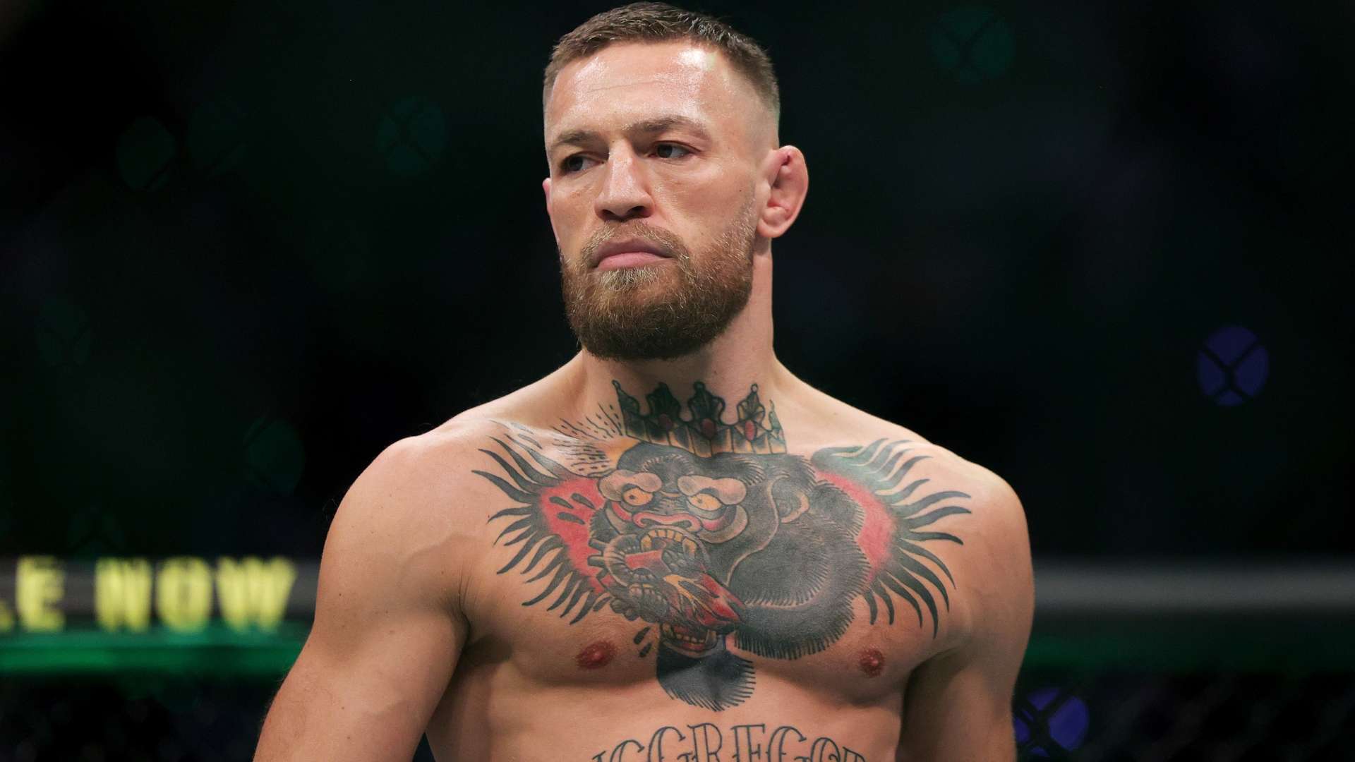 展望未来 展望未来